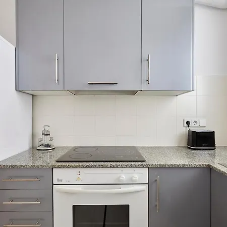 Fisa Aribau Apartment *