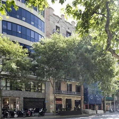Fisa Aribau * Barcelona